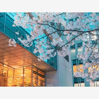 m6米乐网页版登录入口下载手机版截图