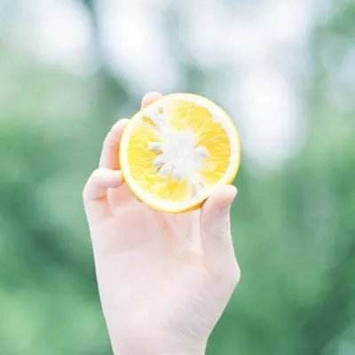 m6米乐网页版登录入口下载手机版